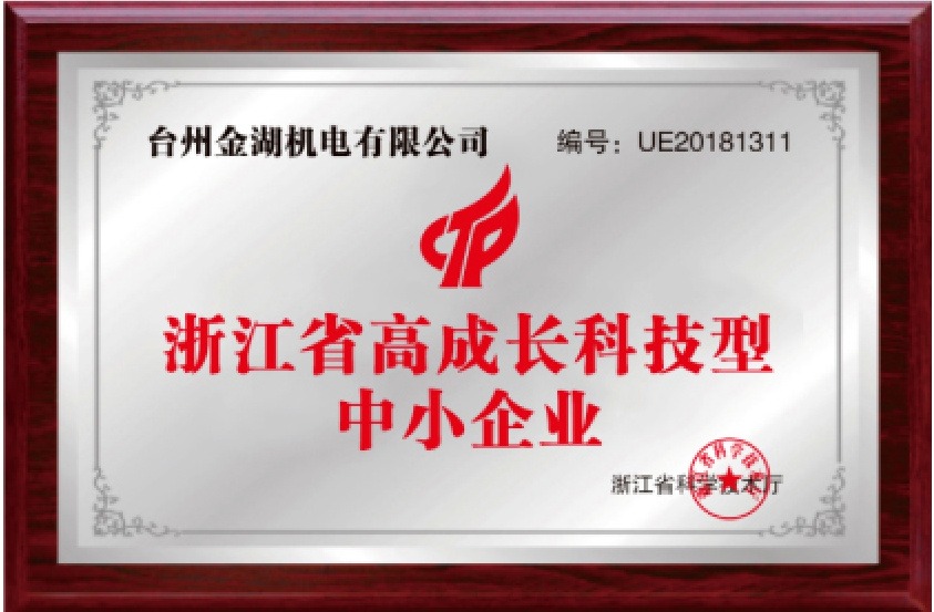 High-Growth Technology-Based Small and Medium-Sized Enterprises in Zhejiang Province